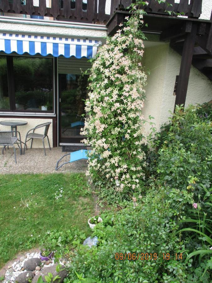 Ferienwohnung Troglauer Letzau 외부 사진